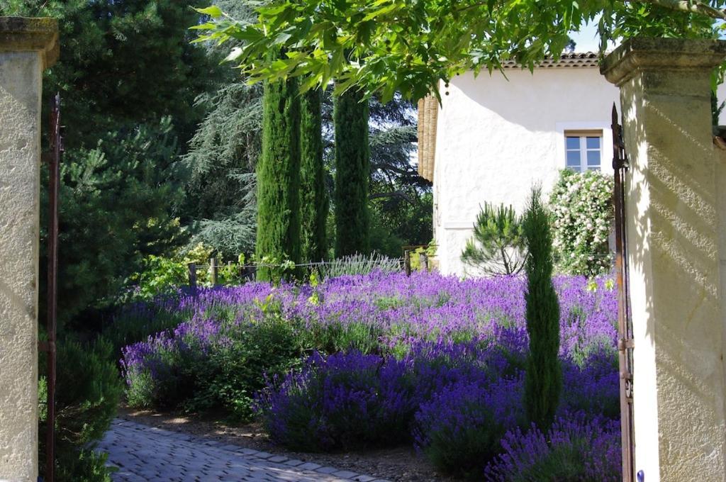 On Dirait Le Sud Apartman Andrezieux-Boutheon Kültér fotó